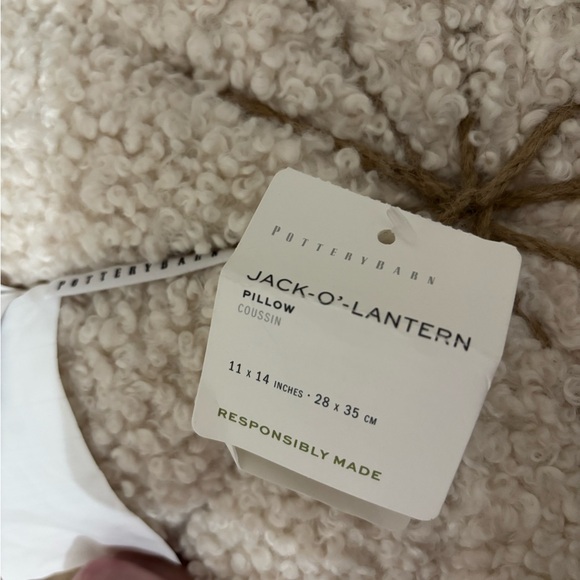 NWT Pottery Barn White Pumpkin pillow - Picture 2 of 2